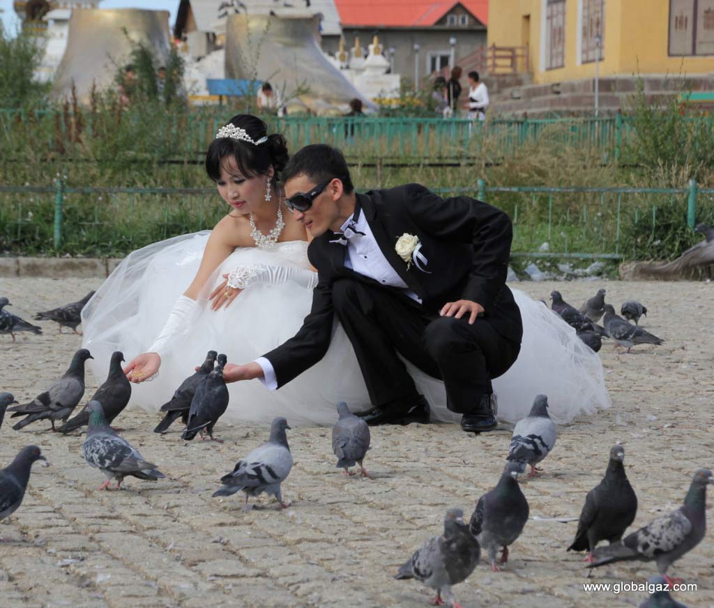 wedding in mongolia